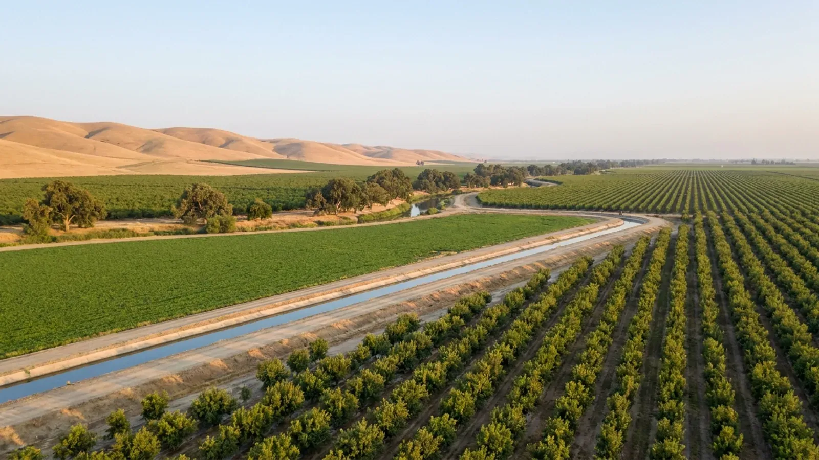 Flat northern San Joaquin Valley farmland with almond and walnut orchards in rows, an irrigation canal and bare golden hills along the western horizon.